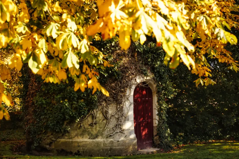 Porte rouge d'une dépendance couverte de lierre sous un marronnier d'automne